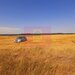Teren pentru casa/case in Branesti pe strada Toporasi