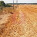 Teren pentru casa/case in Branesti pe strada Toporasi
