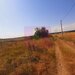 Teren pentru casa/case in Branesti pe strada Toporasi