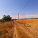 Teren pentru casa/case in Branesti pe strada Toporasi