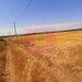 Teren pentru casa/case in Branesti pe strada Toporasi