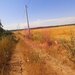 Teren pentru casa/case in Branesti pe strada Toporasi